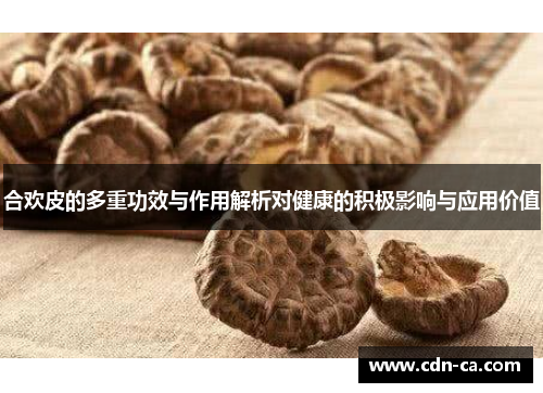 合欢皮的多重功效与作用解析对健康的积极影响与应用价值 合欢皮的多重功效与作用解析对健康的积极影响与应用价值