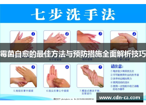 霉菌自愈的最佳方法与预防措施全面解析技巧 霉菌自愈的最佳方法与预防措施全面解析技巧